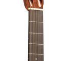 Headstock & Neck of Martin Custom Shop 0012 Tasmanian Blackwood Guitar image number 4